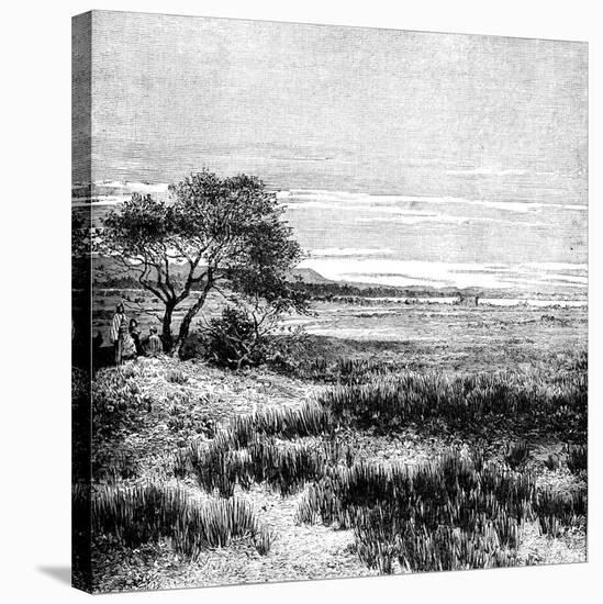 Agha Valley, Central Pampa, Argentina, 1895-null-Stretched Canvas