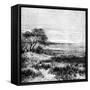 Agha Valley, Central Pampa, Argentina, 1895-null-Framed Stretched Canvas