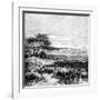 Agha Valley, Central Pampa, Argentina, 1895-null-Framed Giclee Print