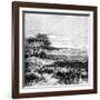 Agha Valley, Central Pampa, Argentina, 1895-null-Framed Giclee Print