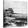 Agha Valley, Central Pampa, Argentina, 1895-null-Stretched Canvas