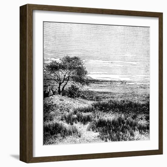 Agha Valley, Central Pampa, Argentina, 1895-null-Framed Giclee Print