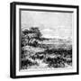 Agha Valley, Central Pampa, Argentina, 1895-null-Framed Giclee Print