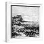 Agha Valley, Central Pampa, Argentina, 1895-null-Framed Giclee Print