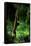 Agile Gibbon Hanging from Branches-null-Framed Stretched Canvas