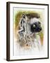 Agile-Barbara Keith-Framed Giclee Print