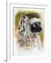 Agile-Barbara Keith-Framed Giclee Print