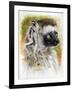 Agile-Barbara Keith-Framed Giclee Print