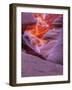 Agiloo-Jim Crotty-Framed Photographic Print