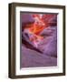 Agiloo-Jim Crotty-Framed Photographic Print