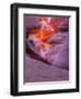 Agiloo-Jim Crotty-Framed Photographic Print