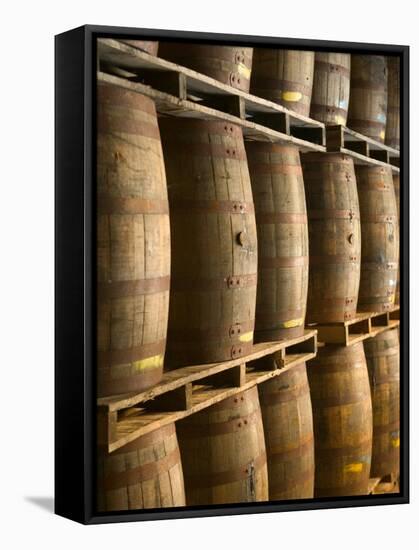 Aging Casks at Bacardi Rum Factory, Bahamas, Caribbean-Walter Bibikow-Framed Stretched Canvas