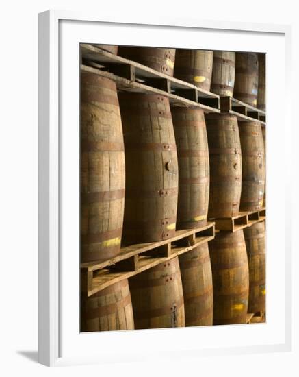 Aging Casks at Bacardi Rum Factory, Bahamas, Caribbean-Walter Bibikow-Framed Photographic Print