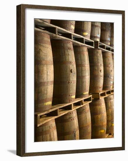 Aging Casks at Bacardi Rum Factory, Bahamas, Caribbean-Walter Bibikow-Framed Photographic Print