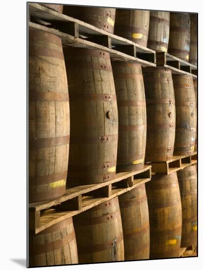 Aging Casks at Bacardi Rum Factory, Bahamas, Caribbean-Walter Bibikow-Mounted Photographic Print