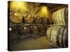 Aging of Armagnac in Gascony Oak Barrels, Aquitania, France-Michele Molinari-Stretched Canvas