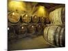 Aging of Armagnac in Gascony Oak Barrels, Aquitania, France-Michele Molinari-Mounted Photographic Print