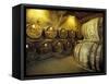 Aging of Armagnac in Gascony Oak Barrels, Aquitania, France-Michele Molinari-Framed Stretched Canvas