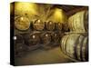 Aging of Armagnac in Gascony Oak Barrels, Aquitania, France-Michele Molinari-Stretched Canvas