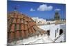 Agios Ioanis Theologos (Monastery of St. John the Theologian)-null-Mounted Photographic Print