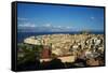 Agios Spyridon Church and Kerkyra City-Tuul-Framed Stretched Canvas