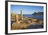 Agios Stefanos Church Ruins, Kefalos Bay, Kos, Dodecanese, Greek Islands, Greece, Europe-null-Framed Photographic Print