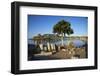 Agios Stefanos Church Ruins, Kefalos Bay, Kos, Dodecanese, Greek Islands, Greece, Europe-null-Framed Photographic Print