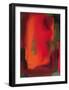 Aglow-Nancy Ortenstone-Framed Art Print