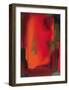 Aglow-Nancy Ortenstone-Framed Art Print