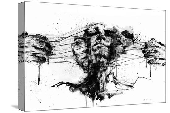 Stretched Canvas Print, , large