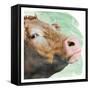 Agnes In Love-Marcus Prime-Framed Stretched Canvas