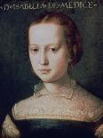 Isabella De Medici, 16th Century-Agnolo Bronzino-Giclee Print