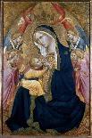 Madonna and Child Enthroned with Saints-Agnolo Gaddi-Framed Giclee Print