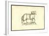 Agnus Biceps-Ulisse Aldrovandi-Framed Art Print