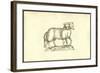 Agnus Biceps-Ulisse Aldrovandi-Framed Art Print