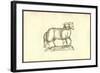 Agnus Biceps-Ulisse Aldrovandi-Framed Art Print