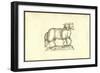 Agnus Biceps-Ulisse Aldrovandi-Framed Art Print