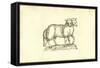 Agnus Biceps-Ulisse Aldrovandi-Framed Stretched Canvas