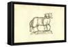 Agnus Biceps-Ulisse Aldrovandi-Framed Stretched Canvas