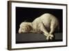 Agnus Dei, 1635-1640-Francisco de Zurbarán-Framed Giclee Print