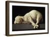 Agnus Dei, 1635-1640-Francisco de Zurbarán-Framed Premium Giclee Print