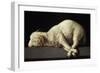 Agnus Dei, 1635-1640-Francisco de Zurbarán-Framed Premium Giclee Print