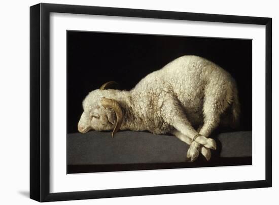 Agnus Dei, 1635-1640-Francisco de Zurbarán-Framed Giclee Print