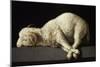 Agnus Dei, 1635-1640-Francisco de Zurbarán-Mounted Giclee Print