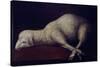 AGNUS DEI - 1636/1640 - O/L 35x52 - SPANISH BAROQUE. FINE ART GALLERY, SAN DIEGO-CALIFORNIA-FRANCISCO DE ZURBARAN-Stretched Canvas