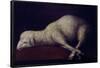 AGNUS DEI - 1636/1640 - O/L 35x52 - SPANISH BAROQUE. FINE ART GALLERY, SAN DIEGO-CALIFORNIA-FRANCISCO DE ZURBARAN-Framed Poster