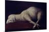 AGNUS DEI - 1636/1640 - O/L 35x52 - SPANISH BAROQUE. FINE ART GALLERY, SAN DIEGO-CALIFORNIA-FRANCISCO DE ZURBARAN-Mounted Poster