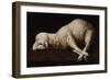 Agnus Dei, C.1635-40-Francisco de Zurbaran-Framed Giclee Print