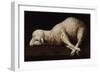 Agnus Dei, C.1635-40-Francisco de Zurbaran-Framed Giclee Print