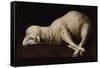 Agnus Dei, C.1635-40-Francisco de Zurbaran-Framed Stretched Canvas